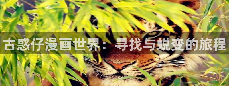 漫蛙.2