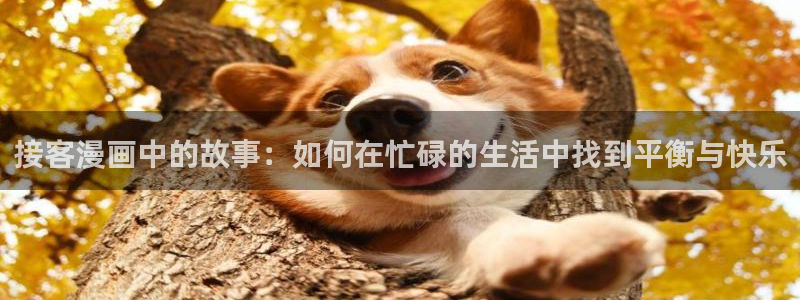 漫蛙漫画免费官网入口