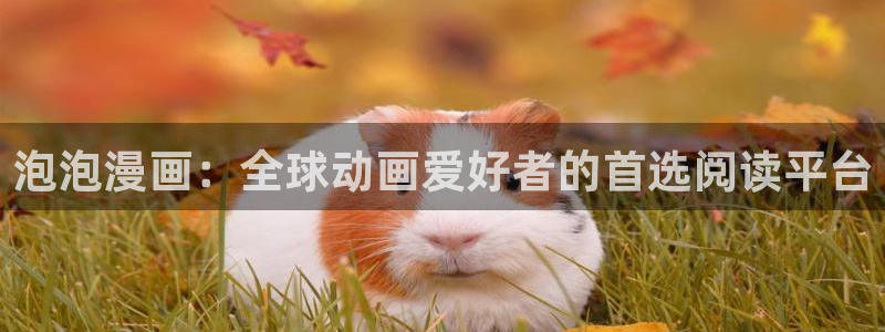 漫蛙链接网页版