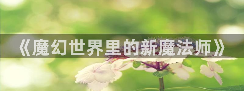 漫蛙防走失站