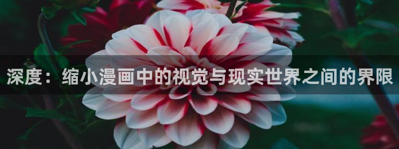 漫蛙漫画官网页面免费入口