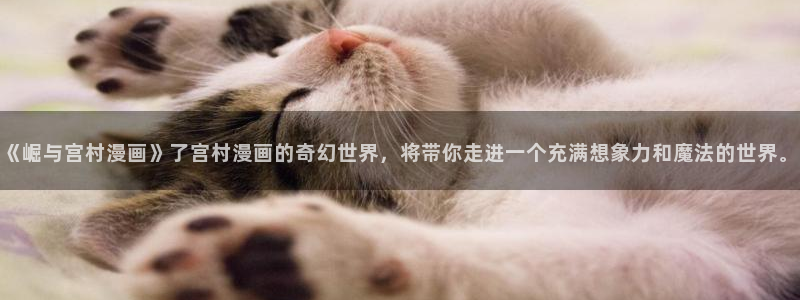 漫蛙吧