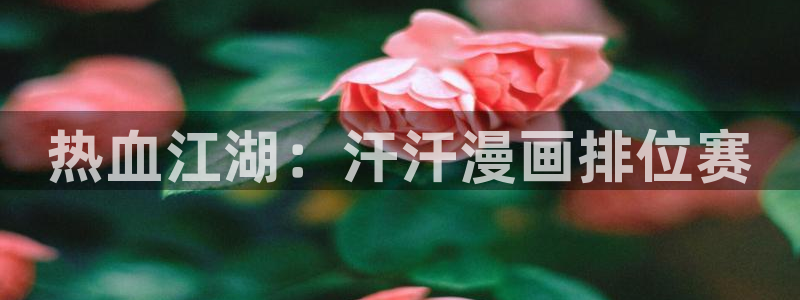 漫蛙app官网版
